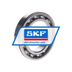 SKF 6010N