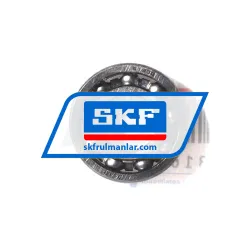 SKF 61900