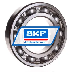 SKF 6220