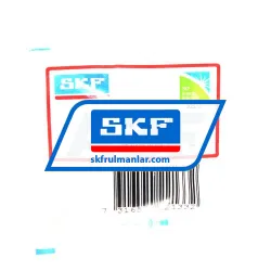 SKF E2-629-2Z/C3 rulman resim 2