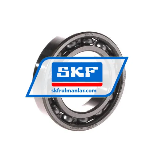 SKF 6009/C4