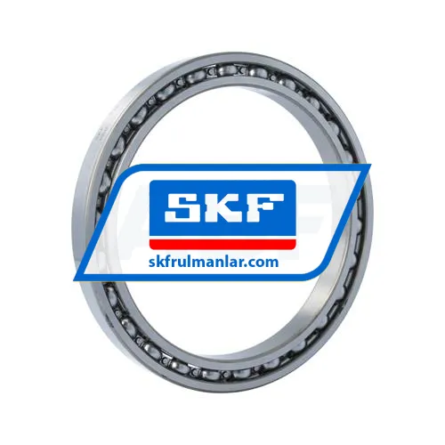 SKF 61832