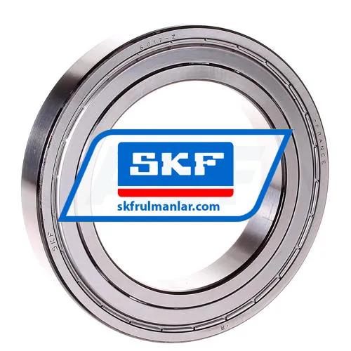 SKF 6017
