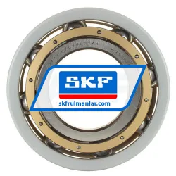 SKF 6319M/C3VL0241 rulman resim 3