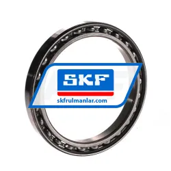 SKF 61818
