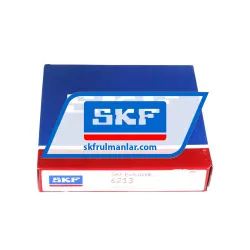 SKF 6213 rulman resim 3