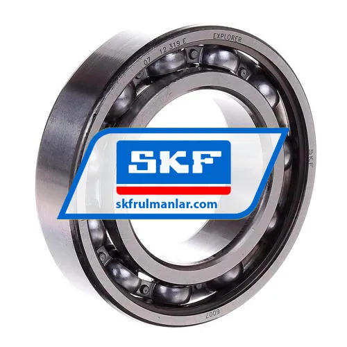 SKF 6007