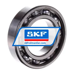 SKF 6007