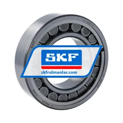SKF C2213V