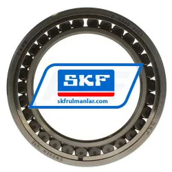 SKF C4020V/C3 rulman resim 3