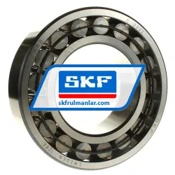 SKF C2222