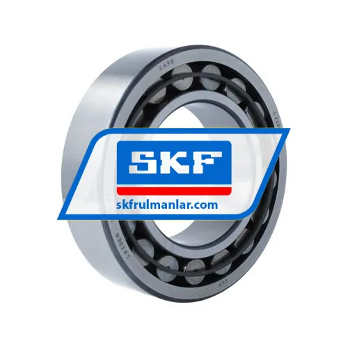 SKF C2220
