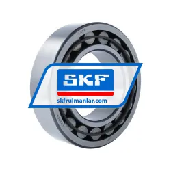 SKF C2220