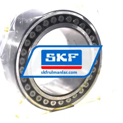 SKF C5020V/C4 rulman resim 2