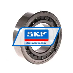 SKF C2210V/C4