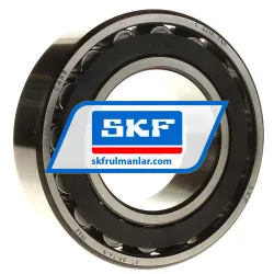 SKF C2213TN9