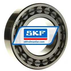 SKF C2218