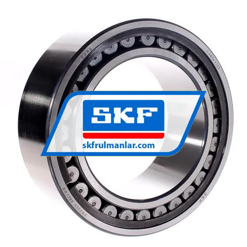 SKF C4026V/C3