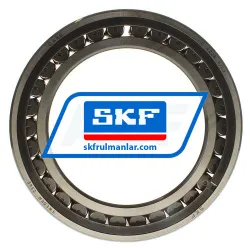 SKF C4028V/C3 rulman resim 3