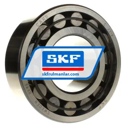 SKF C2318