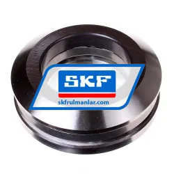 SKF 53313