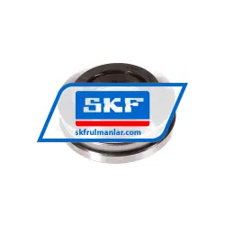SKF 53306