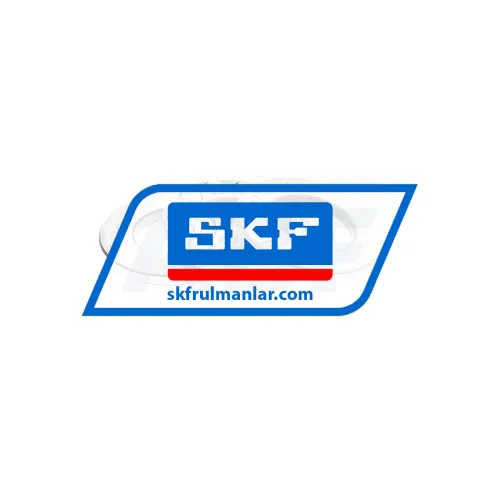 SKF 51102