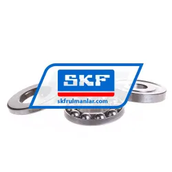SKF 52202
