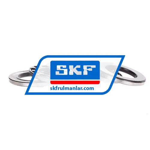 SKF 52206