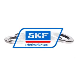 SKF 52206