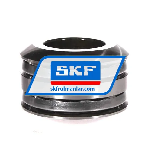 SKF 54309