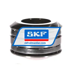 SKF 54309