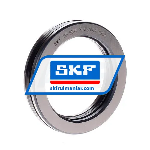 SKF 81113TN