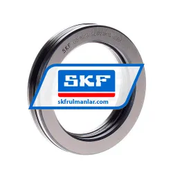 SKF 81113TN