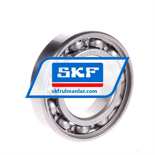 SKF W6006