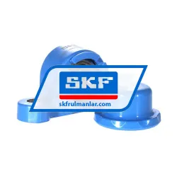 SKF P2BC20M-CPSS-DFH rulman resim 2