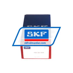 SKF P2BC20M-TPZM rulman resim 4