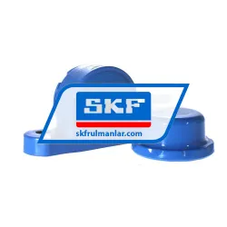 SKF P2BC25M-CPSS-DFH rulman resim 3