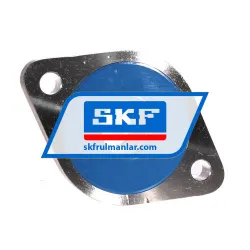 SKF F2BESS104S-CPSS-DFH rulman resim 2