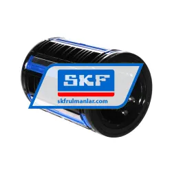 SKF LBCR60-2LS rulman resim 2