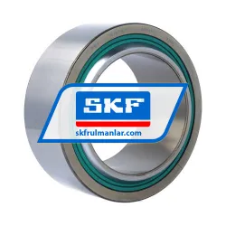 SKF GE100TXE-2LS