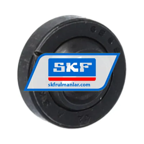 SKF GE6E