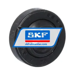 SKF GE6E