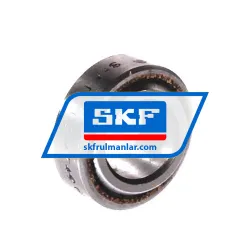 SKF GE10C