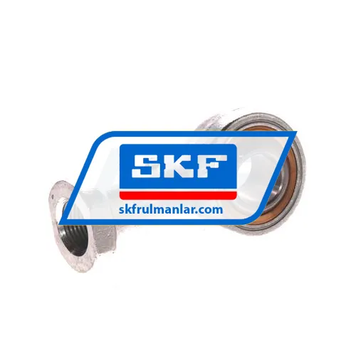 SKF SIKAC18M