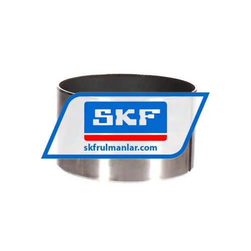 SKF PI10010560