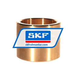 SKF PBM607560M1G1 rulman resim 2