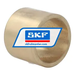 SKF PBM404840M1G1 rulman resim 2