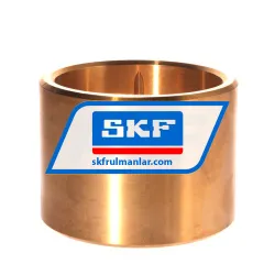 SKF PBM809570M1G1 rulman resim 3