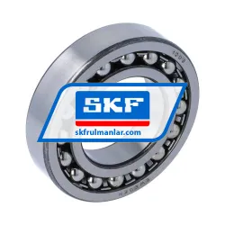 SKF 1209